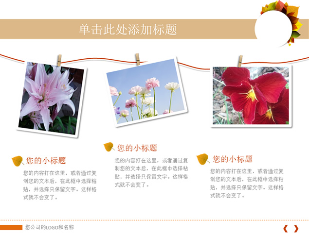 创意多彩枫叶简洁商务PPT模板