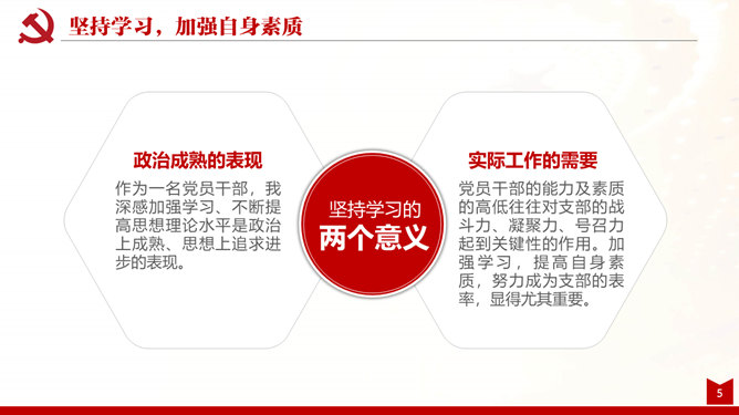党支部述职述廉述责报告PPT模板