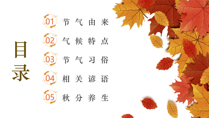 枫叶秋分节气介绍PPT模板