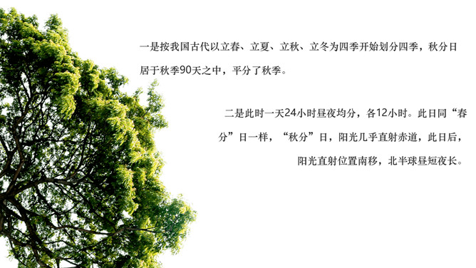 枫叶秋分节气介绍PPT模板