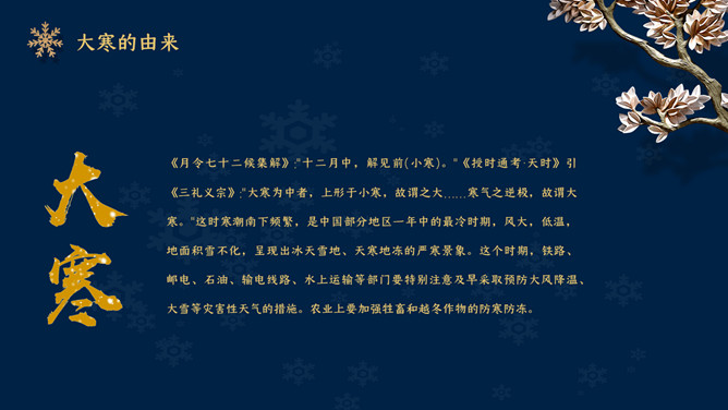 花朵大寒节气主题PPT模板