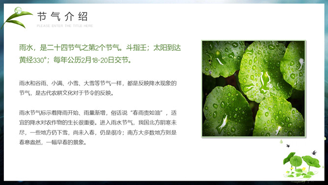 水珠雨水节气介绍PPT模板