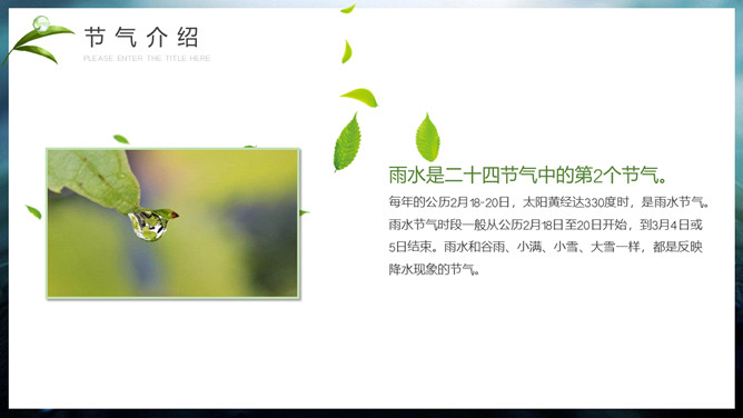 水珠雨水节气介绍PPT模板
