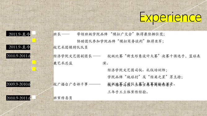 布纹风格个性简历PPT模板