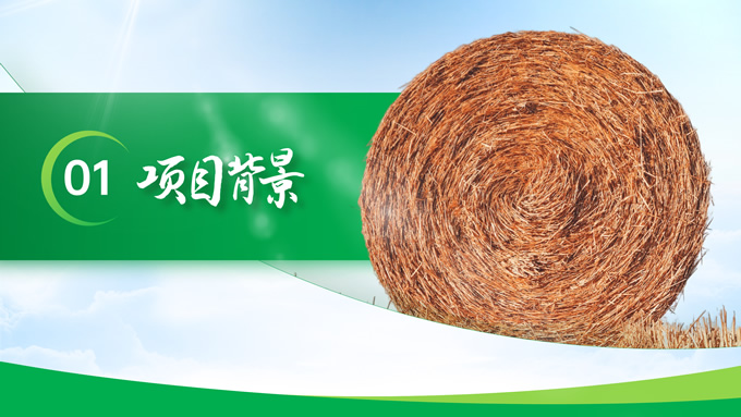 绿色大气农业项目汇报