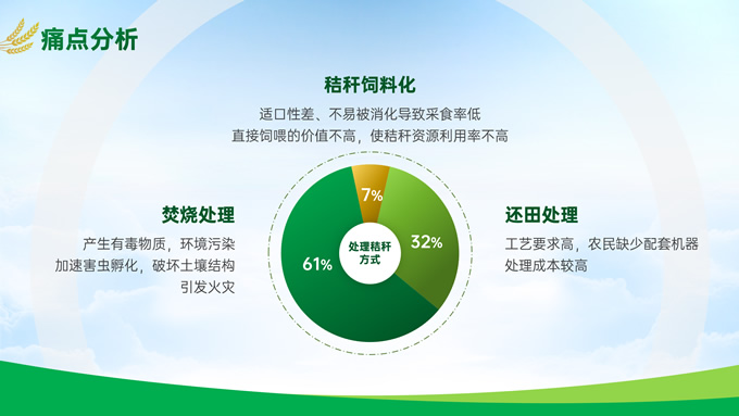 绿色大气农业项目汇报