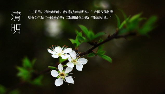 二十四节气PPT模板