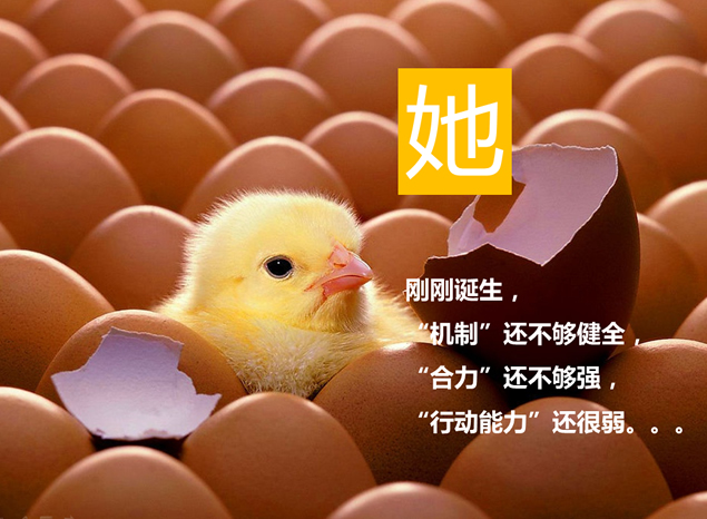 成长记录PPT模板