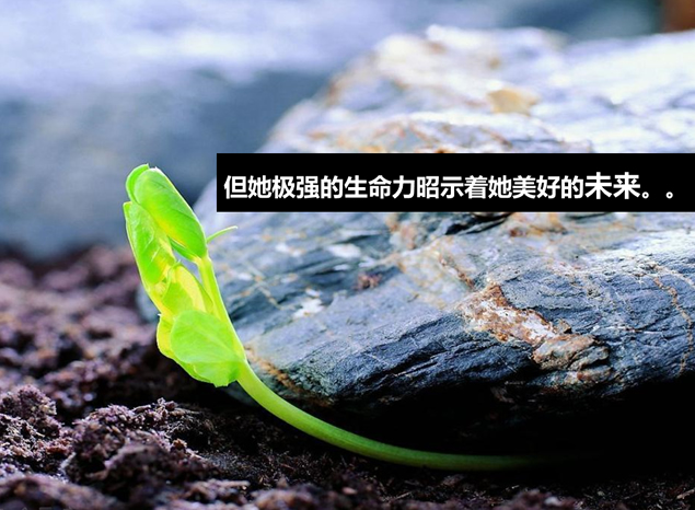 成长记录PPT模板