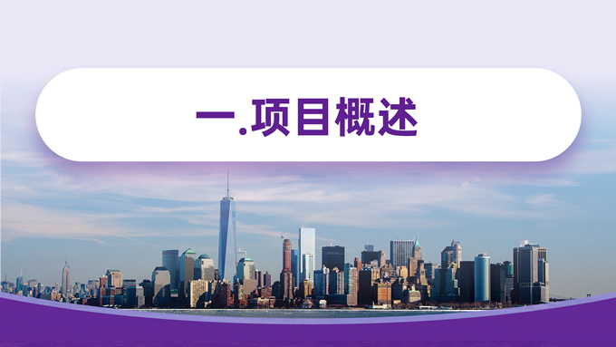 紫色商业计划书