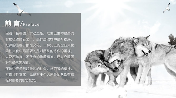 企业文化狼性精神培训PPT模板