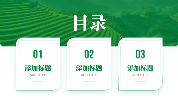绿色学术风毕业答辩