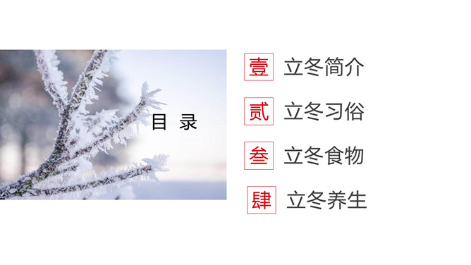 雾凇立冬节气主题PPT模板