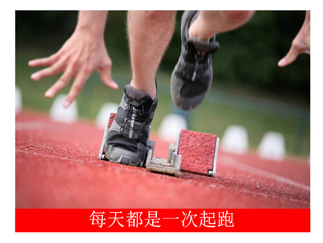 中国互联网大会GoogleCEOPPT演讲模板