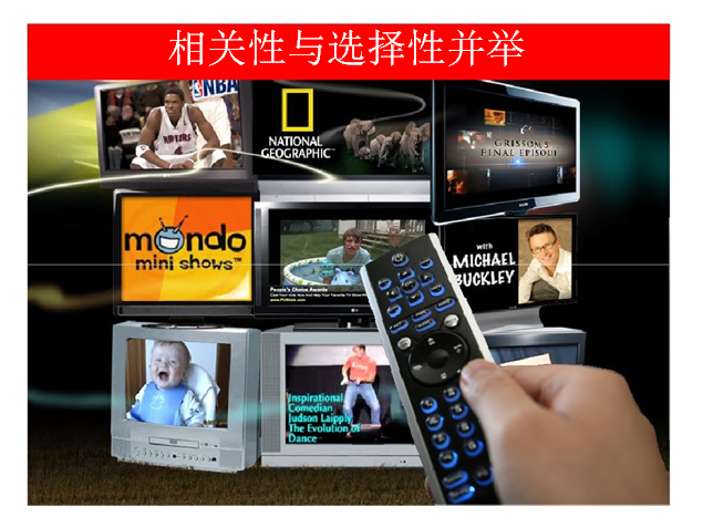 中国互联网大会GoogleCEOPPT演讲模板