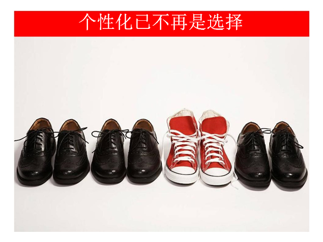 中国互联网大会GoogleCEOPPT演讲模板