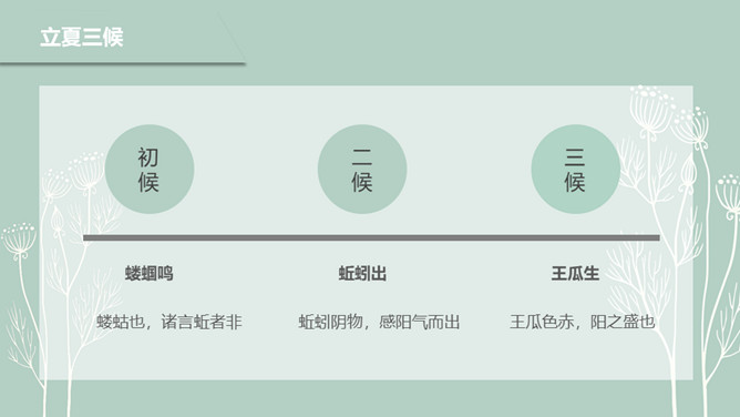 简约绿色立夏节气PPT模板
