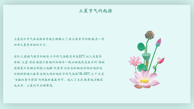 荷叶立夏节气主题PPT模板