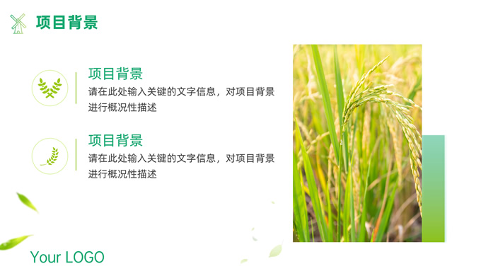 绿色农业项目汇报通用PPT模板
