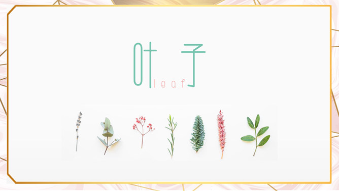 创意淡雅清新绿叶主题PPT模板
