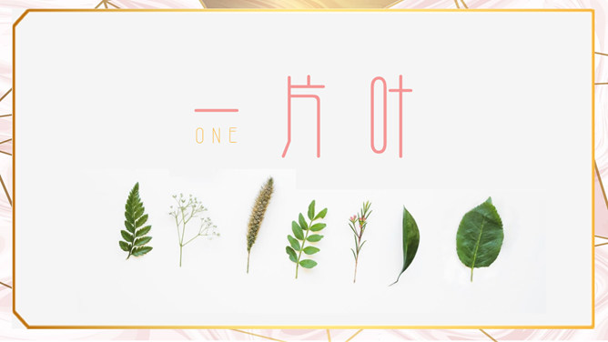 创意淡雅清新绿叶主题PPT模板