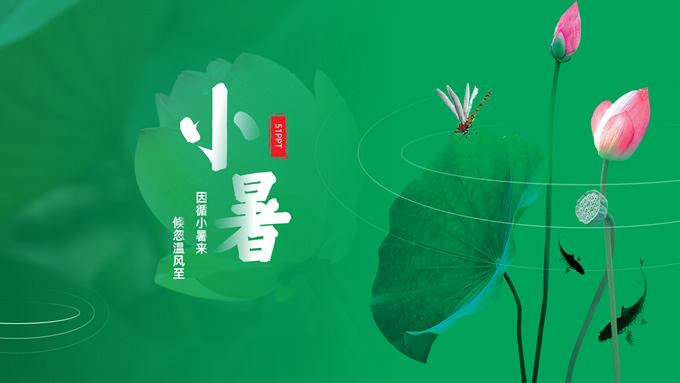 小暑――二十四节气PPT模板