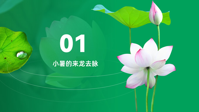 小暑――二十四节气PPT模板