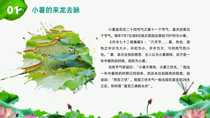 小暑――二十四节气PPT模板