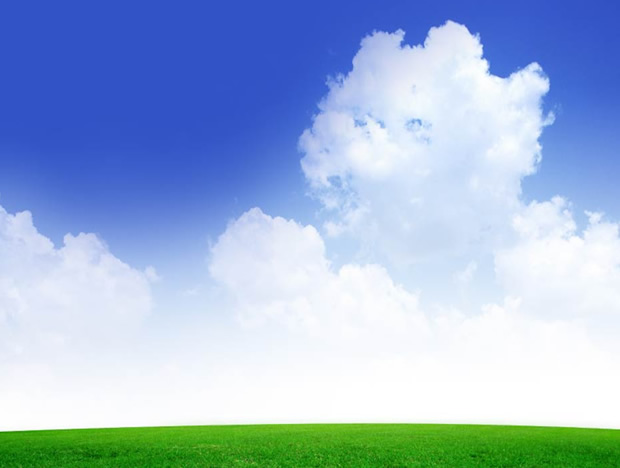 蝴蝶绿叶露珠春季PPT模板