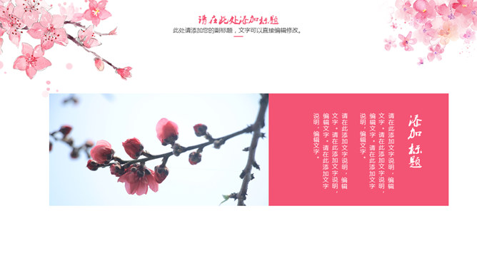 三生三世十里桃花PPT模板