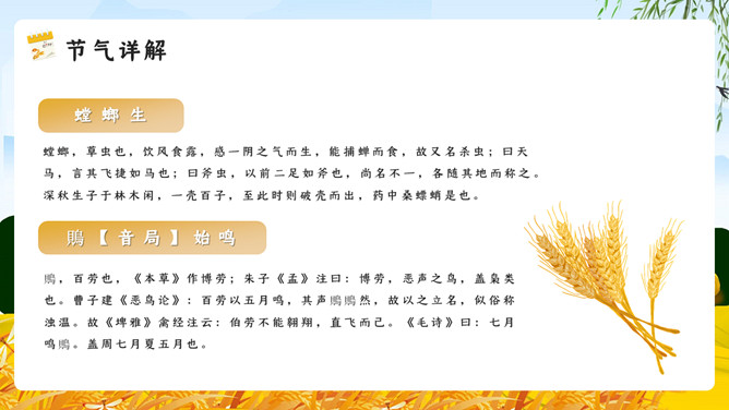 稻草人麦田芒种节气PPT模板
