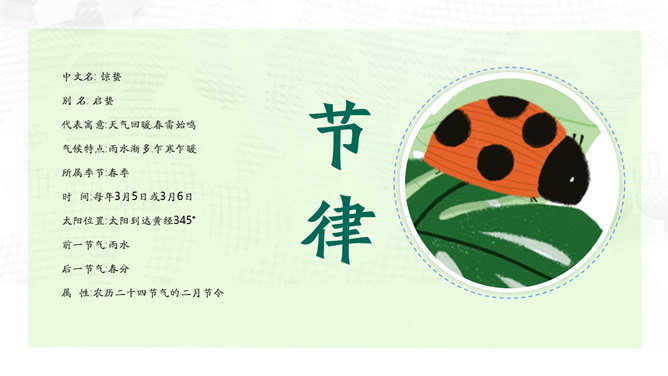 柳枝蝴蝶惊蛰节气PPT模板