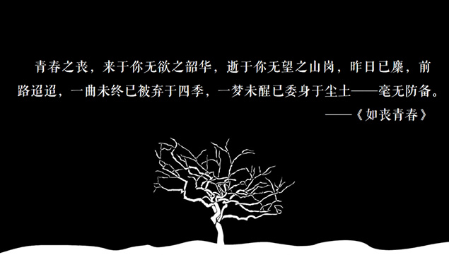 《如丧青春》PPT读书笔记