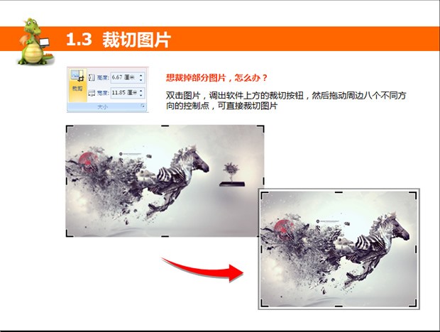 PPT图像处理技巧实用教程