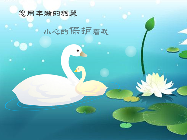 献给母亲的2013母亲节PPT模板