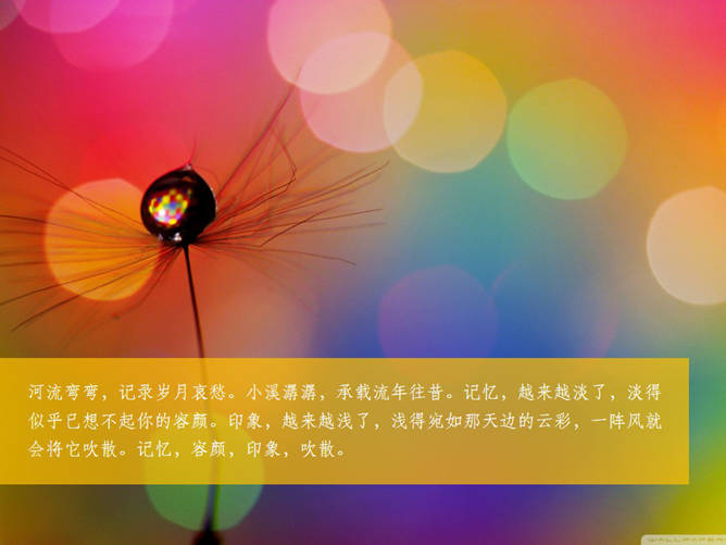 唯美蒲公英PPT背景图片下载