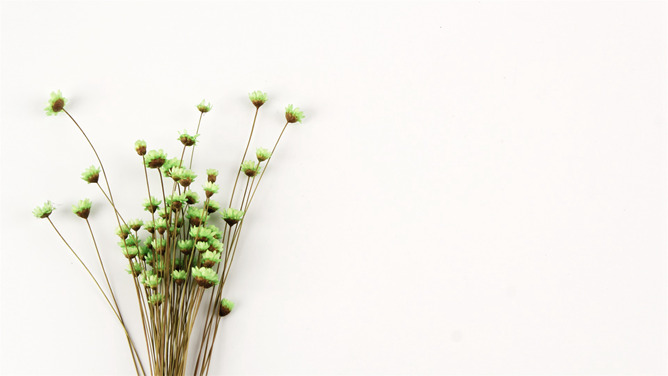 简约花束碎花PPT背景图片