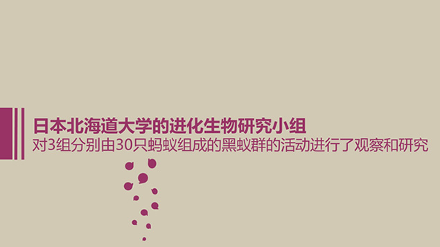 人人争做“懒蚂蚁”PPT小故事模板