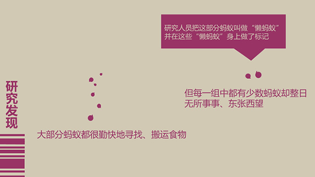 人人争做“懒蚂蚁”PPT小故事模板