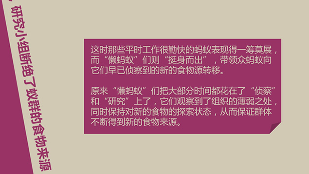 人人争做“懒蚂蚁”PPT小故事模板