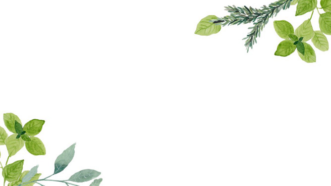 清新绿叶小花边框PPT模板