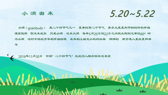燕子田野小满节气PPT模板