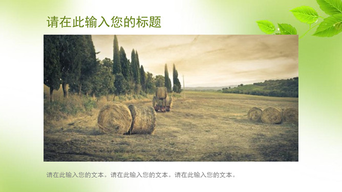 简约清新绿叶主题PPT模板