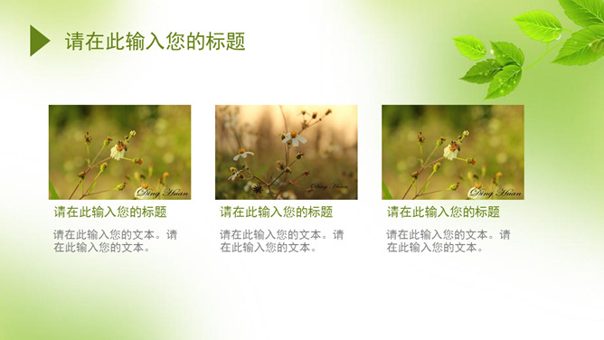 简约清新绿叶主题PPT模板