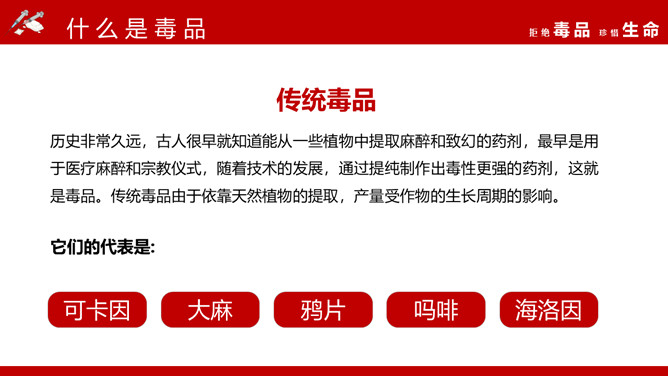 拒绝毒品珍惜生命班会PPT模板