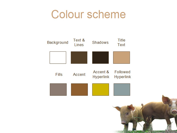 可爱小猪主题PPT模板