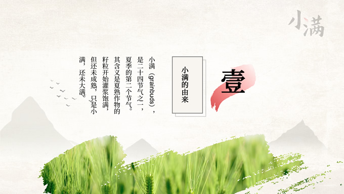 传统节气小满PPT模板