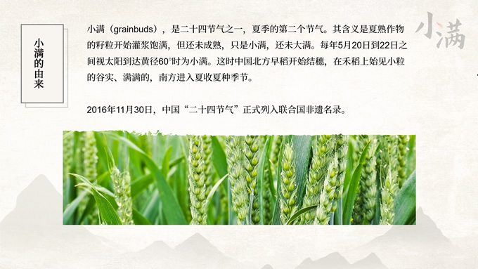 传统节气小满PPT模板