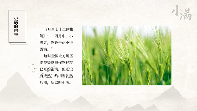 传统节气小满PPT模板