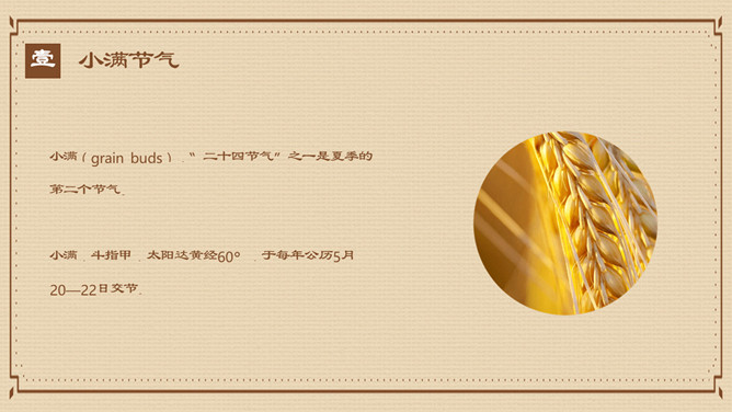 盘子麦穗小满节气PPT模板
